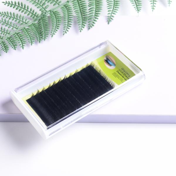 Natural Silk Protein Long Lasting Eyelash Extensions Hand Made 0.07mm J B C D Curl