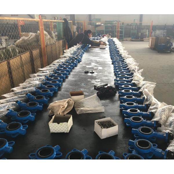 China GG20 cast iron DIN standard butterfly valve