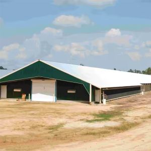 Commercial Prefabricated Steel Building Durable Easy Install For Broiler