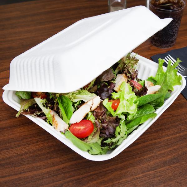 Renewable 9x6 Inch 39g Biodegradable Takeout Containers