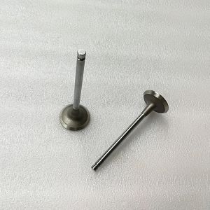 Cheap Silvery &amp; Black Diesel Engine Valve SD23 Race Forged Inlet Exhaust Engine Valve 13201-L2000 13202-L2000 for sale