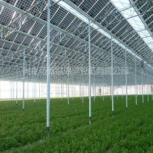 China Commercial Greenhouse Solar System Electric Power Galvanized Surface Treatment on sale