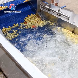 Orange Potato Potatoes round tuber crops Carrots and longitudinal root