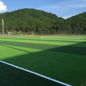 China factory direct turf for garden landscaping garden carpet grass