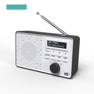 At A Loss Built-In Speaker Digital DAB Radio Portable alarm Clock DAB+ Radio with mono color display