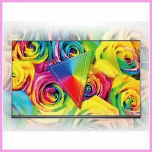 Boe 31.5 Inch 1366*768 RGB V320WX1 TFT LCD TV Multimedia HD Free Viewing Angle