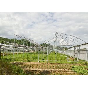 Easy-Assembly Galvanized Poly Multi-Tunnel Green House With Heavy-Duty Plastic