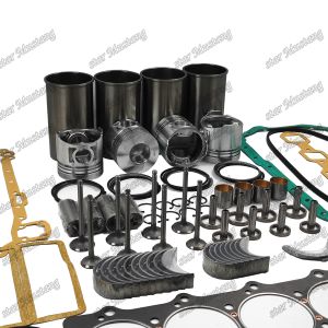DB33 Integral Engine Piston Rebuild Kit With Integral Structure