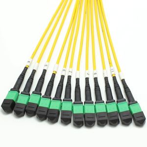 144F MTP MPO Fanout Cable SMG657A1 MPO APC to MPO APC Breakout Fiber Optic Patch