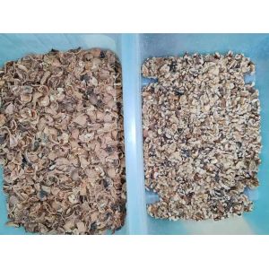 Color Sorter Machine For Peeled Garlic Garlic Processing Plant Chain Driven