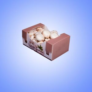 Hollow Core Corrugated Plastic Packaging Boxes Fruit Vegetalbe Presentation Box