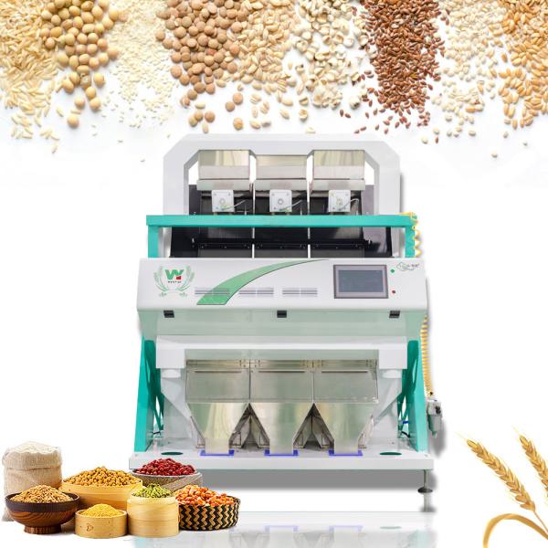 Quality 1 - 4t/H Grain Color Sorter Machine Highest Efficient Sorting wholesale