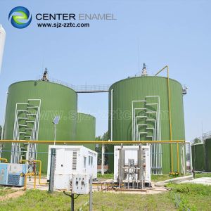 Cheap China BIOGAS EXPERT Provide Biogas Plant Project For Global Customers for sale