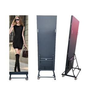 Indoor Standing LED Poster Display with High Definition Digital Signage and