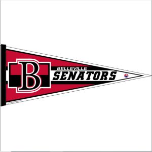 Waterproof Digital Printing Custom Felt Banner Polyester Fabric Decoration