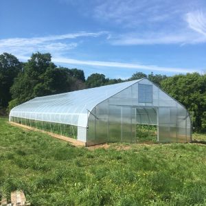 Tunnel Greenhouse Galvanized Steel Frame Structure Pipe Pe UV Plastic Film