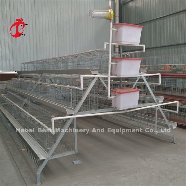 Quality High Stability Poultry Battery Cage System Layer Hens In Africa ISO9001 Emily wholesale