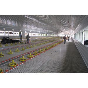 Q235B Steel Structure Poultry House Painted Steel Frame Chicken Coop