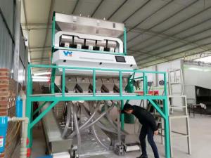 Cheap High Sorting Accuracy Multifunction Dark Salt Color Sorter Machine For Separating Dark Color Salt With Wifi Remote for sale