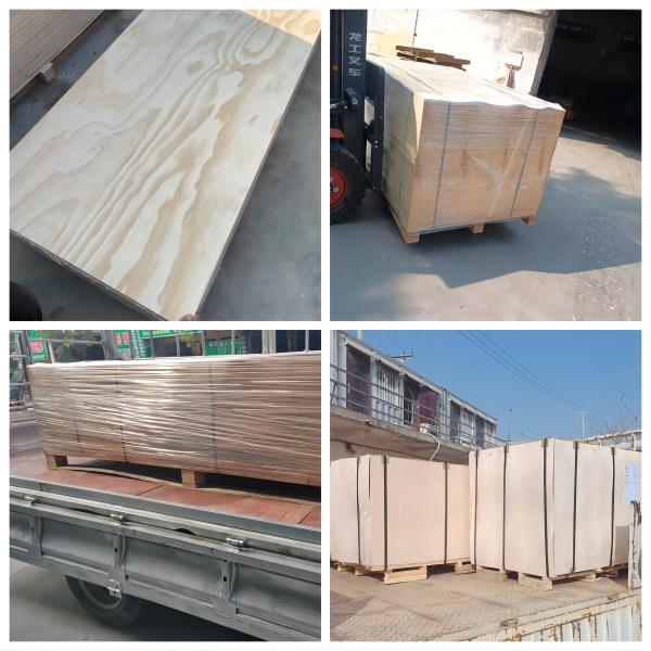 Highly Versatile HSS Nicking Tools Steel Cutting Creasing Rule for Printing Materials