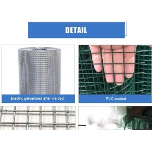 2x2 Galvanized Welded Wire Mesh Pvc Coated Stainless Steel