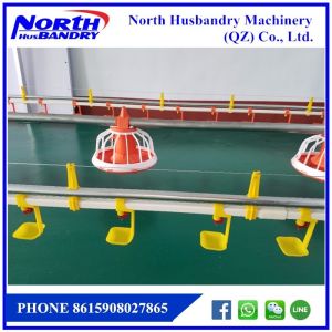 Pencegahan dan Pengendalian Flu Burung