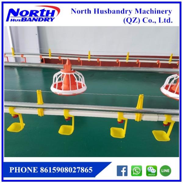 Quality Pencegahan dan Pengendalian Flu Burung wholesale