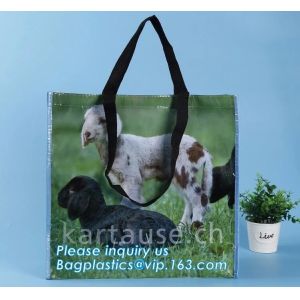 China heat transfer printed pp woven fruit multifuction foldable tote shopping bags, eco woven fabric 60gsm-140gsm, optimizing on sale