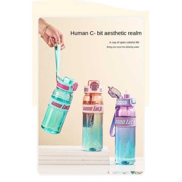 Lightweight 650ml 850ml Large Capacity Custom Plastic Water Bottles With Logo Fitness Portable Water Bottle For Travel Sealed And Leak Proof