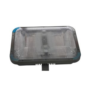 Cheap HFED FLOODLIGHS HFC137004 40W IP65 FOR DISPLAY LIGHTING for sale
