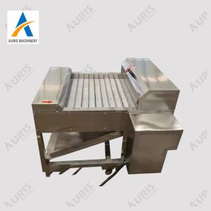 Filleting Cutter Fish Slicer Machine Processing And Cutting Frozen Hairtail