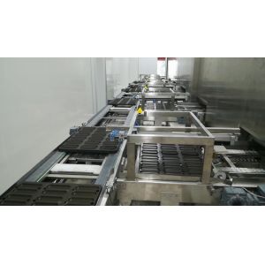 Hamburger Bun Mini French Bread In Line Sourdough Proofer