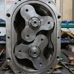 Practical Antiwear Lobe Pump Sanitary With Double Mechanical Seal