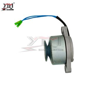 Auto Diesel Engine Spare Parts 12V 17A 22124 APM0012 40058019 Yangma Hydrocoolin