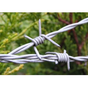 China Electro Galvanized Steel Barbed Wire ety 16 X 14 Gauge 25kg / Roll For Military on sale