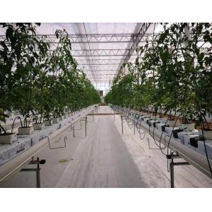 Cheap Film Greenhouse Hydroponic System Package Gross Weight 2000.000kg Customized Request for sale