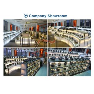 OEM 1197311318 Auto Starter Regulator Switch for BOS CH/CA1236IR with 12 Months