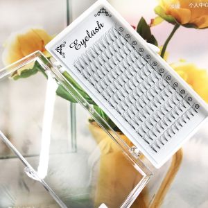 3D 4D 5D 6D 7D 8D 10D Premade Volume Fans Lashes 8-20mm Length 0.07mm 0.10mm