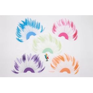 Stripped Heckle Feather Fan , Goose Hand Held Feather Fans For Decoration