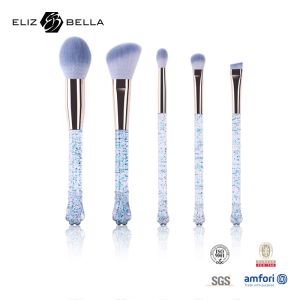 China 5pcs Transparent Plastic Handle Cosmetic Brush Set Customized Packag on sale