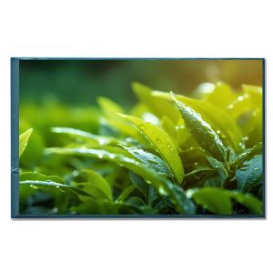 IPS 8 Inch TFT LCD Monitor Module MIPI Interface Medical LCD Monitor