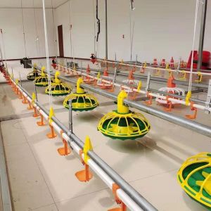 450kg/H Fully Automatic Chicken Feed Line With Hopper Galvanized Pipe