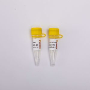Gold Reverse Transcriptase PCR Reagents R3001 2000U