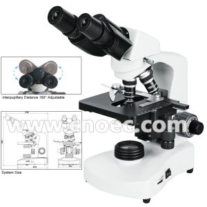 China Halogen Lamp Compound Optical Microscope For High School A12.1005 on sale