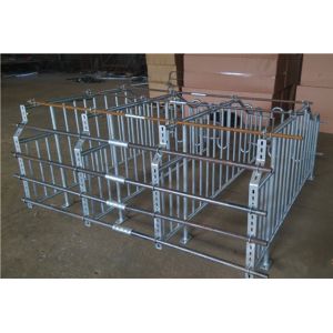 Customized Design Pig Gestation Crates With Cast Iron Feeders Or Ss Sow Feeders