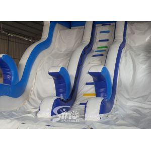 Double Lanes Inflatable dolphin Water Slides with pool EN14960 For Adults and