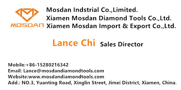 4'' Electroplated Diamond Abrasive Flap Disc for Marble Granite