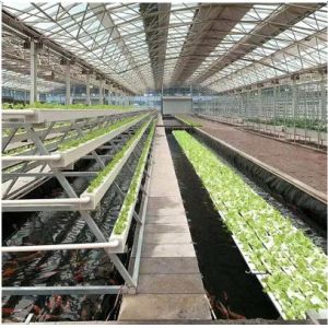 PVC Square NFT Hydroponic Channel Water Plastic Pipe Extrusion Machine PLC