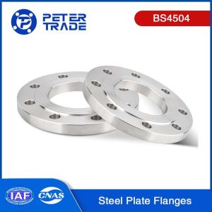 BS4504 PN40 Carbon Steel Plate Flanges PL RF Raised Face DN10 - DN600 Code 101 for Heating and Power Industry