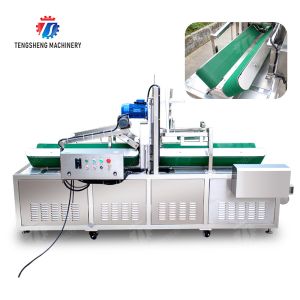 Large winter melon peeling machine papaya chieh-qua pumpkin wax gourd pineapple